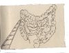 introduction-a-la-toute-petite-histoire-de-lhumanite-004-copie