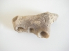 fossile-bord-de-loire
