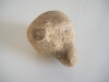patate-calcaire-midipyrennee-2