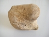 patate-calcaire-midipyrennee-3
