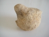 patate-calcaire-midipyrennee-4