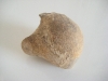 patate-calcaire-midipyrennee