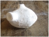 patate-en-pate-a-modeler-2011-2