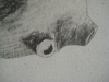 patates-detail-4