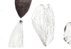 3-encre-de-chine-et-fusain.jpg